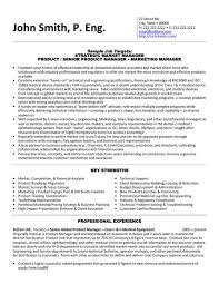 A Resume Template For A Strategic Market Manager You Can Download It And Make I Engineering Resume Templates Executive Resume Template Medical Resume Template