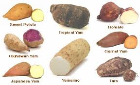 Types Of Potato Google Search Madlavning
