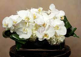 Few upper east side florists have flower delivery like gabriela wakeham. Luxury Flower Collections Upper East Side Flower Delivery Columbia Florist Columbia Midtown Florist