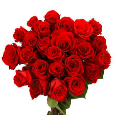Check spelling or type a new query. Globalrose Fresh Red Valentine S Day Roses 50 Stems 50 Red Roses Short The Home Depot