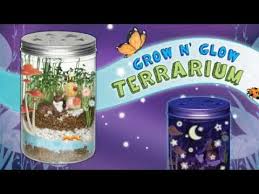 Creativity For Kids Grow N Glow Terrarium Michaels Terrarium Jar Glow Crafts For Kids