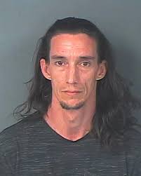 HCSO Arrests Public Records Results