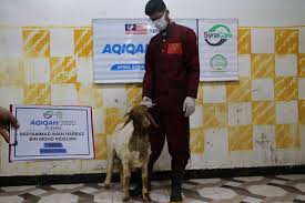 Seekor kambing hanya untuk qurban satu orang dan boleh pahalanya diniatkan untuk seluruh anggota keluarga meskipun jumlahnya banyak bahkan yang sudah meninggal sekalipun. Aqiqah 4 Syria Syria Care