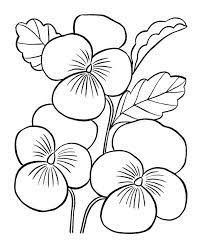 pensee printable flower coloring pages sheets coloriage d&#x00027;ambulance
