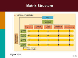 Organizational Charts Of Cross Functional Teams Google Search