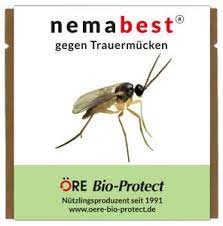 Nemaplus sf nematoden (steinernema feltiae) sind nützlinge zur nachhaltigen und effektiven bekämpfung von trauermücken und deren larven in haus und garten an zimmerpflanzen. Nemabest Sf Nematoden 1 5 Mio 15 Pflanzen 3m Gegen Trauermucken Ebay