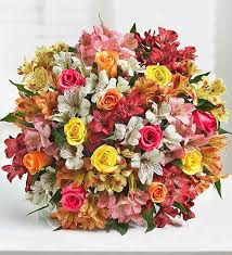 We did not find results for: Assorted Roses Peruvian Lilies By 1 800 Flowers Com