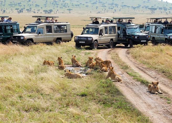 Big game and wildlife landscapes of Kenya and Uganda