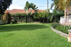 Stunning designer bungalow in sunset heights with pool private lift and garden koi pond. Bungalow House For Rent In Naguru Kampala Spectrum Real Estate Solutions