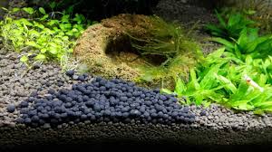Wash gravel, plants, and decorations. Freshwater Aquarium Setup Step By Step Guide Aquariumguide Net