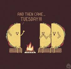 The Week In Pictures Election Eve Edition Power Line Funny Taco Memes Funny Puns Cute Puns