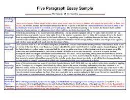 Image Result For Analytical Expository Essay Example Expository Essay Paragraph Essay Expository Essay Examples