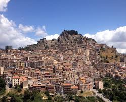 Image result for Nicolasia