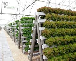 25 Best And Charming Hydroponic Home Garden Design Hydroponic Farming Hydroponic Growing Hydroponic Gardening