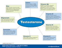 How Gluten Induced Malnutrition Affects Testosterone Levels Gluten Free Society