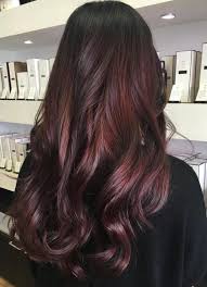 Dark Brown Hair With Burgundy Highlights Hair Color Plum Mahogany Hair Burgundy Hair