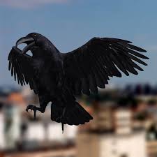 Corvus Corax Common Raven 3d Model 3d Model Model Black Bird