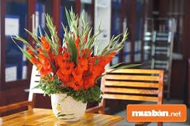 Hoa lay ơn nghìn tay sẽ là một ý tưởng thú vị đấy!tham khảo video này để biết thê chi tiết nhé! Cach Cáº¯m Hoa Trang Tri Táº¿t Nguyen Ä'an Ai CÅ©ng Nen Biáº¿t