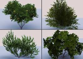 Bushes Model Pack Sponsored 3d Model Bushes Pack Plants Plants Bush Shrubs