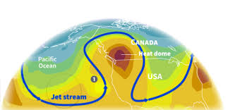 A heat wave for the record books is underway across the western united states, which is leading to complications with not only the drought and wildfire situation, but also the power grid in one state. Vzf8lzzcbd4yzm
