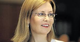 Blue Mountains Council faces suspension