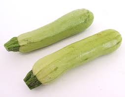 Disease resistant to zucchini yellow mosaic virus, downy mildew, and podi virus. Marrow Segev F1 Squash Seeds Zucchini Squash Seeds Seeds Growing Squash