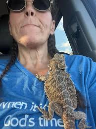 Bearded Dragons Lovers