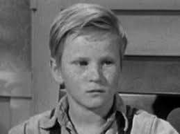 To Blog A Mockingbird