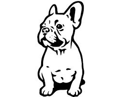 Pin On Animales