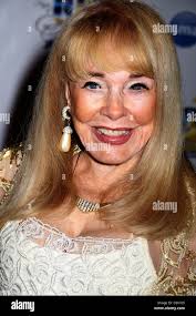 Black terry hi-res stock photography and images