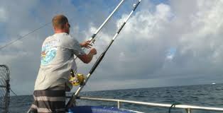 Work both sides of rocky points on a beach, stream outflows(very few), . 4 Hour Fishing Charters Off Maui Maui Sights Treasures