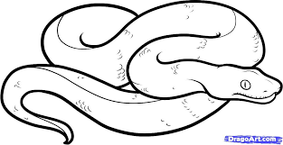 We did not find results for: Realistic Snake Coloring Pages Az Coloring Pages Snake Coloring Pages Coloring Pages Coloring Pictures