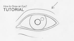 This beginners' step by step tutorial is for a basic male face. How To Draw An Eye From Any Angle For Beginners Basic Proportions Easy Youtube