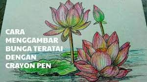 Biji teratai mempunyai segudang kegunaan yang mampu meningkatkan kualitas kesehatan tubuh anda. Cara Menggambar Bunga Teratai Dengan Krayon Pen Di Kertas Karton Youtube