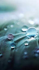 Celebrate every day and forget about the things that demotivate you. 25 Hd Retina Wallpaper Collection Of Iphone 6 Plus Hdpixels Water Droplets Photography Water Droplets Retina Wallpaper