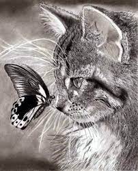 ﻿in pencil drawings you will find many details that usually get lost when we see them in color. 40 Realistic Animal Pencil Drawings