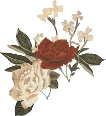 Search more hd transparent aesthetic image on kindpng. Pin By Johaaaa On Catreath Pairings Collage Illustration Overlays Tumblr Flower Art