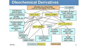The latest financial highlights indicate a net sales revenue drop of 93.21% in 2019. Palm Oil Good Or Bad Excelvite Excelvite