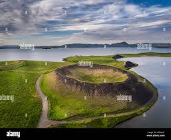 Image result for Pseudovigna