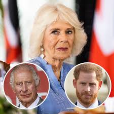 Queen Camilla Is Reportedly 'Imploring' King Charles To 'Keep His Distance'  From Prince Harry After Being 'Outraged' By His Comments