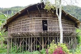 Terdapat beberapa aturan, diantaranya yaitu rumah rumah adat tersebut diantaranya adalah honai, wamai, ebai, rumsram, dan kariwari. Rumah Kaki Seribu Pesona Kekayaan Kultural Rumah Adat Papua Barat