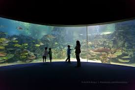 Turkuazoo Aquarium Istanbul Turkey Istanbul Most Beautiful Cities Wonderful Places
