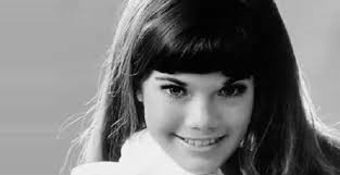 Barbi Benton Biography