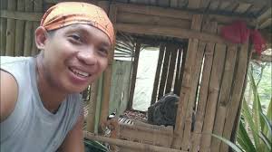 PANIBAGONG PARAAN SA PAG-AALAGA NG MGA SISIW NG PABO, OKAY BA ANG GANITONG  PARAAN?