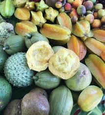 As a person who loves fruit trees, shrubs and other edible plants this is a great book. Stock Up On Fruit Trees More At Broward Rare Fruit Sale Edible South Florida