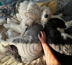 Moved to Bremerton recently and trying to find a new dentist. Does anyone  have recommendations for dentists that have experience handling patients  with severe dental anxiety? I don't at all want full