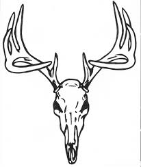 Black And White Deer Skull Pin By Cheyenne Heinig On All Tattoos Deer Skull Tattoos Deer Skull Drawing Animal Skull Tattoos