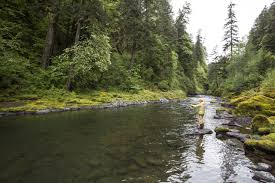 Modification of the natural dynamic regime, such as land use changes, paving areas, or vegetation removal, can lead to extended extremes of drought or flooding, with a resultant drastic decline in productivity (manci. Riparian Zone C S W D