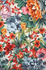 Maybe you would like to learn more about one of these? Iphone Floral Tropical Background 564x848 Download Hd Wallpaper Wallpapertip