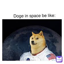 Doge levi ackerman funny meme background fanpop. Text Here Doge In Space Be Like Mesayosney12 Memes